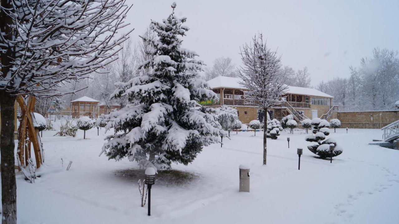 Gabala Yeddi Gozel Hotel Extérieur photo